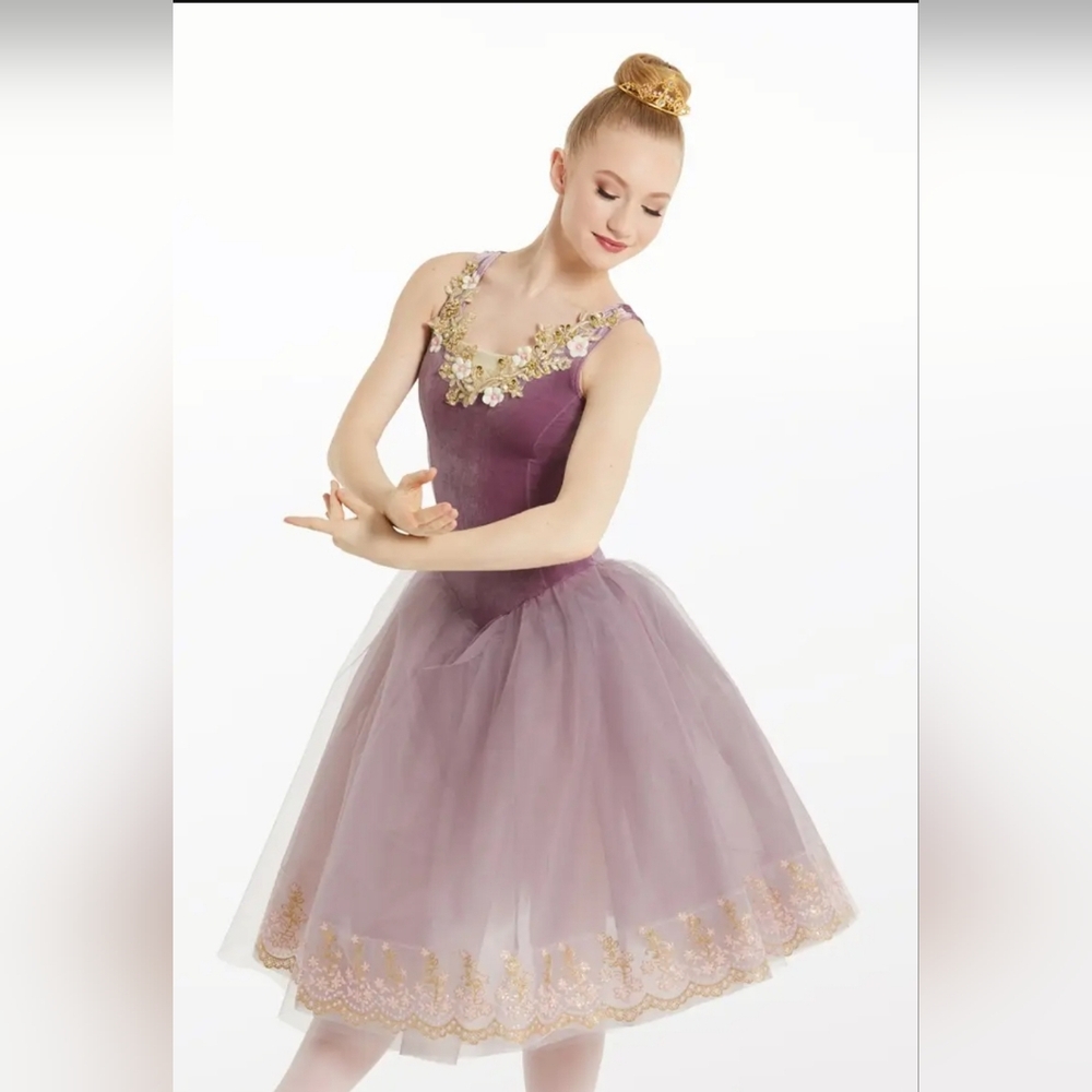 Elegant Purple Princess Ballet Dress